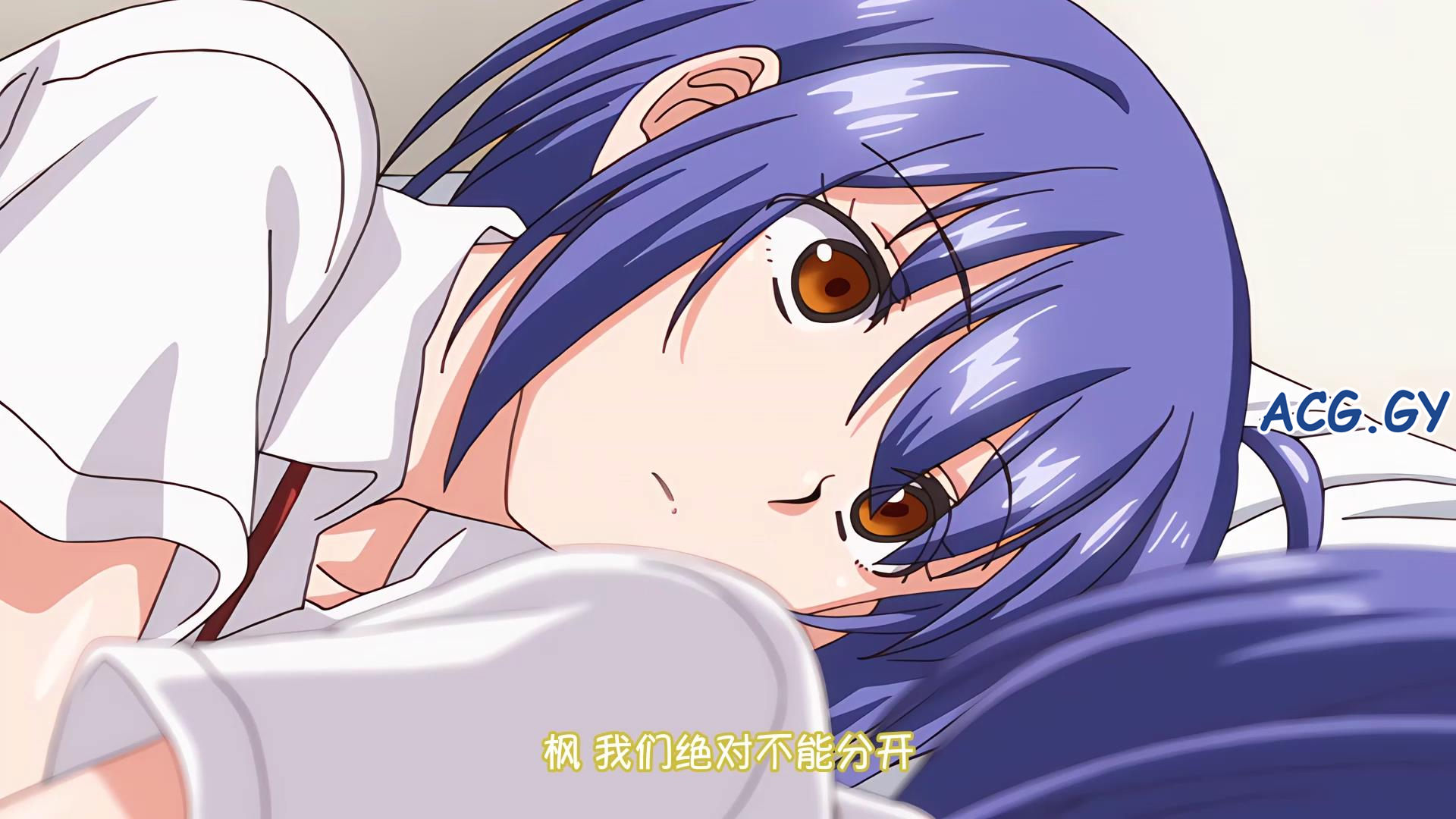 [ピンクパイナップル]らぶみー 『楓と鈴』 THE ANIMATION 第3巻