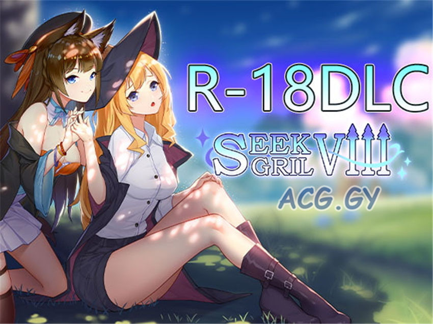 [DSGame] Seek Girl VIII