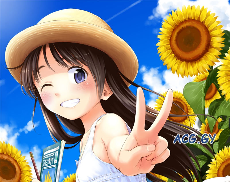 [クジラックス] わんぴいす完全版