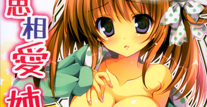 (C85) [祭社 (ななろば華)] 相思相愛姉えっち3 [CE家族社]