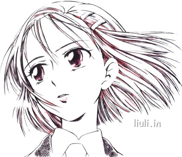 [合集5] Anime Culture Black History Repack 5 2011~2015