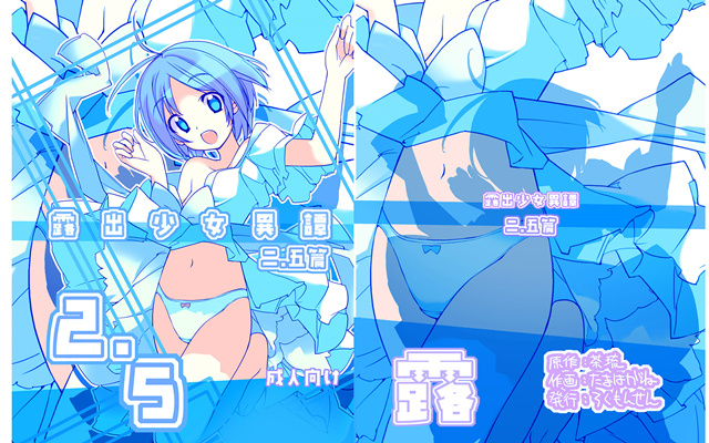 露出少女系列同人本典藏合集（40本，1.72G，附预览+目录）