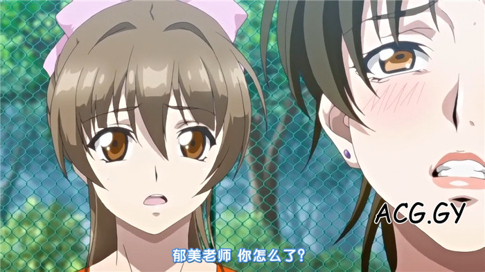 [ZIZ] 妻ネトリ3 ～快楽に堕ちた淫汁教師たち～